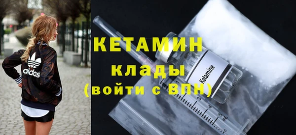 хмурый Пересвет
