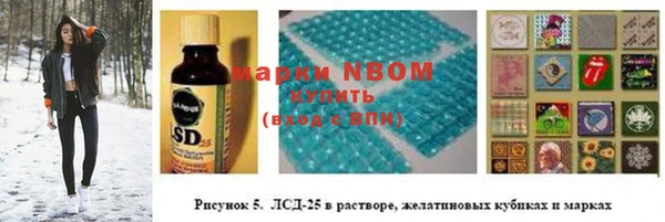 хмурый Пересвет