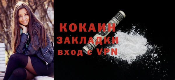 хмурый Пересвет