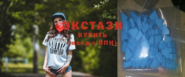 хмурый Пересвет