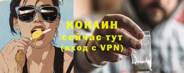 хмурый Пересвет