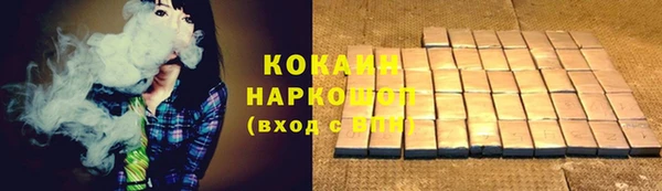 хмурый Пересвет