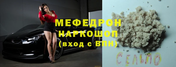 хмурый Пересвет