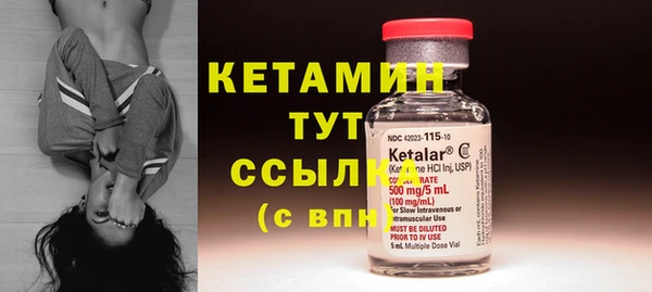 хмурый Пересвет