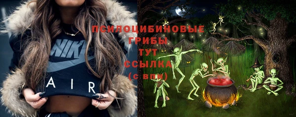 хмурый Пересвет
