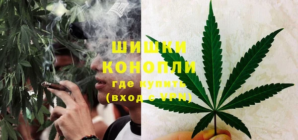 хмурый Пересвет