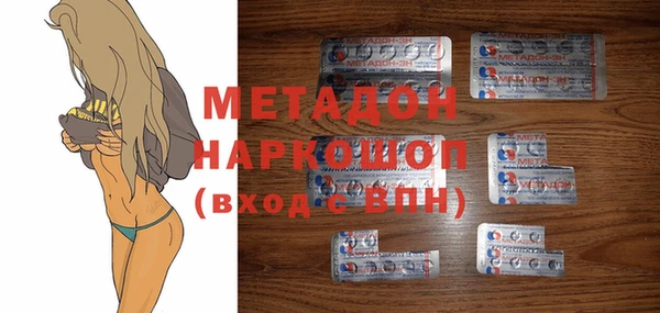 хмурый Пересвет