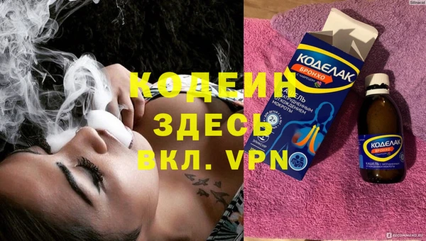 хмурый Пересвет