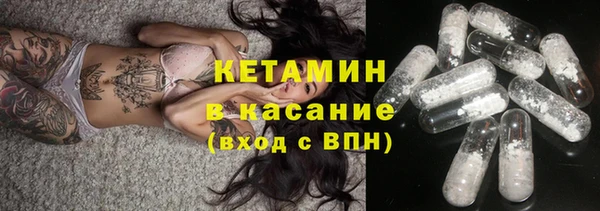 хмурый Пересвет