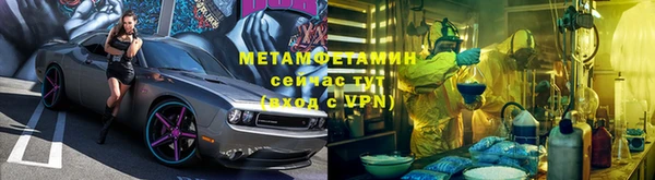 хмурый Пересвет
