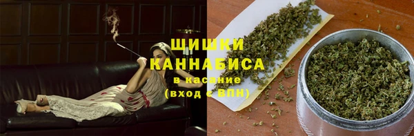 хмурый Пересвет